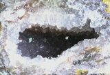 Las Choyas Geode With Druzy Quartz #33790-1